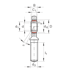   INA / Schaeffler GAR25-UK