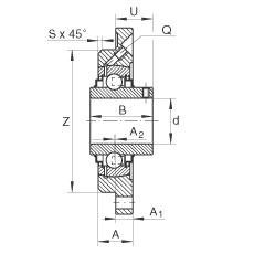   INA / Schaeffler RMEY75