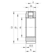   INA / Schaeffler ZM17