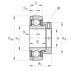   INA / Schaeffler GRAE25-NPP-B