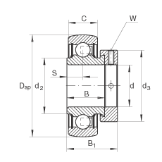   INA / Schaeffler RALE25-NPP-B