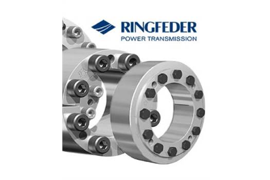  15x19RFN 8006 RINGFEDER 