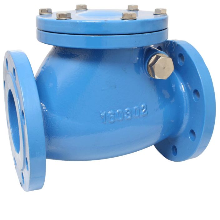 Swing-check valve  END-Armaturen SCV-GGG-EPDM-050