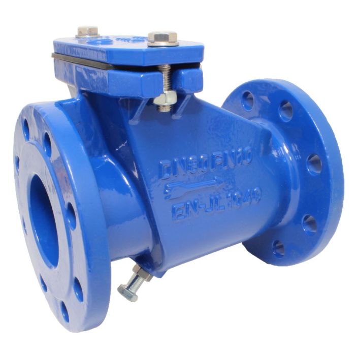 Sewage (waste water) Check Valve  END-Armaturen CW540007