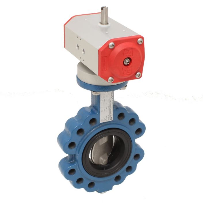 Butterfly valve  END-Armaturen TM532008-EE620702